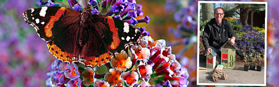 org:/banners product categories/themes/categorieheader_vlinder.jpg